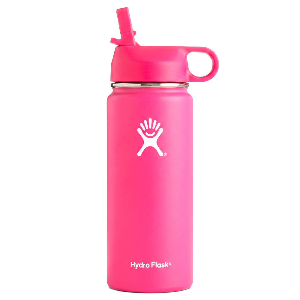 Hydro Flask-Style 18oz Insulated Stainless Steel Water Bottle with Straw Lid